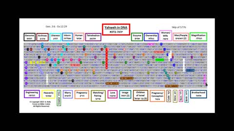 Yahweh in DNA - Hebrew Torah Bible Code