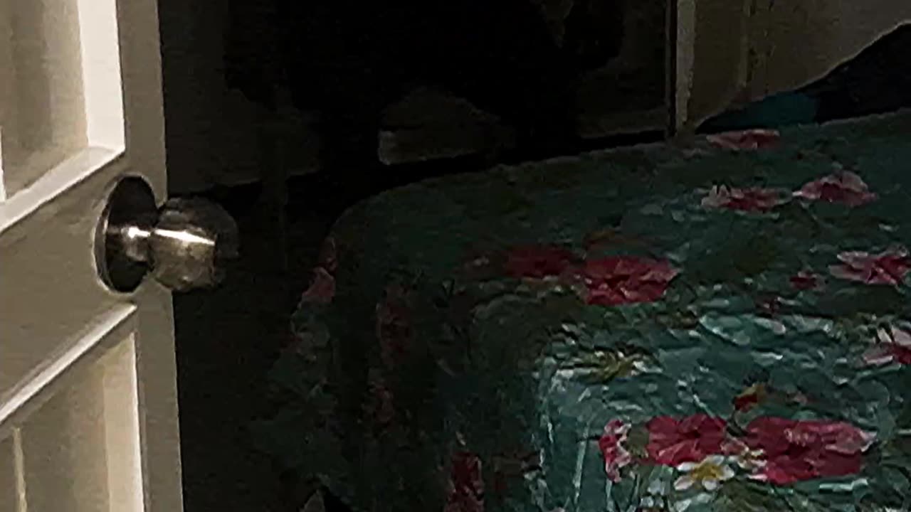 glow in the dark teeth
