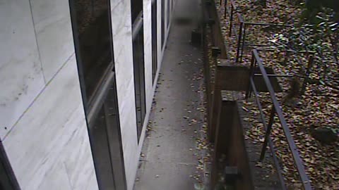 1457HSOB01GroundSoutheast_2021-01-06_12h07min19s283ms.mp4