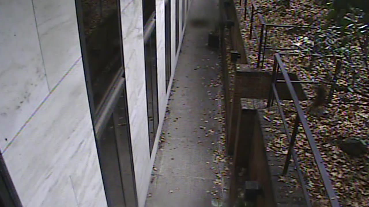 1457HSOB01GroundSoutheast_2021-01-06_12h07min19s283ms.mp4