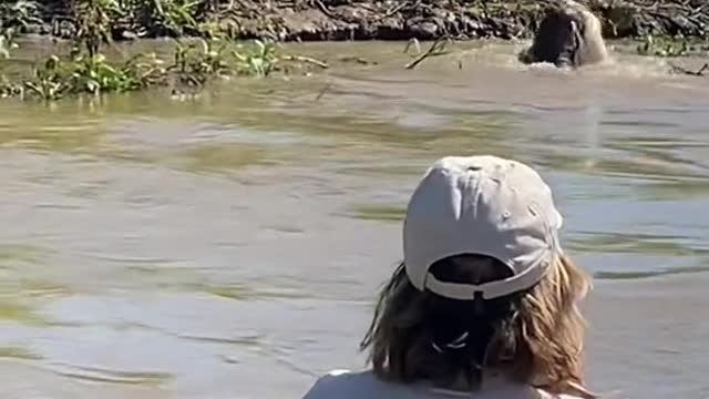 Another day in the Pantanal