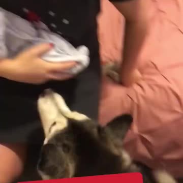 Beautiful Bonding in this video