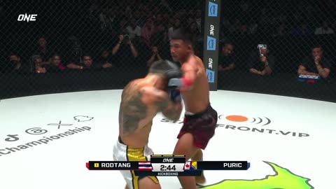 Rodtang vs. Puric | Kickboxing Highlights