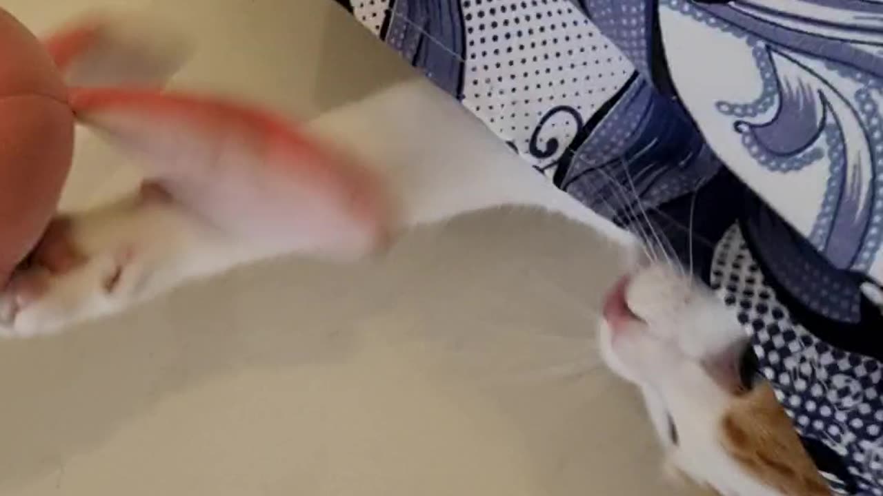 CHUCHU PLAYING