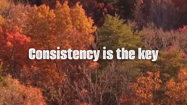 Consistency 🗝️ #motivation #positive #quote #goodvibes