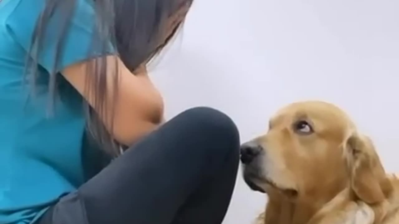 Cute dog