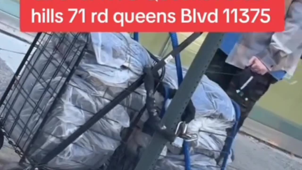 Suspicious Shopping carts loaded with green bags in NYC