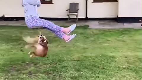 On the swings
