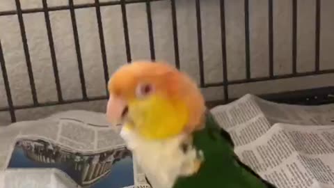 Hop Hop Hop Puffman #shorts #viral #shortsvideo #video