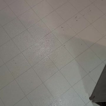 More Snow Shoveling $$