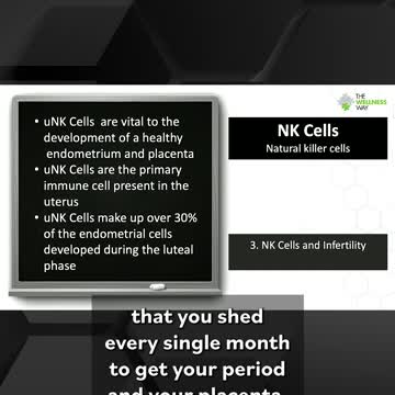 Natural Killer Cells