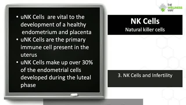 Natural Killer Cells