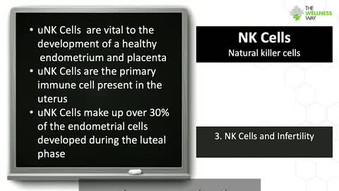 Natural Killer Cells