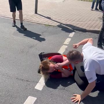 German trucker has enough, drags climate protestors out of road