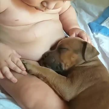 Adorable Baby Touches Sleepy Puppy as It Lays in His Lap