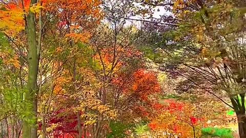 Beautiful scenery. Come and have a look