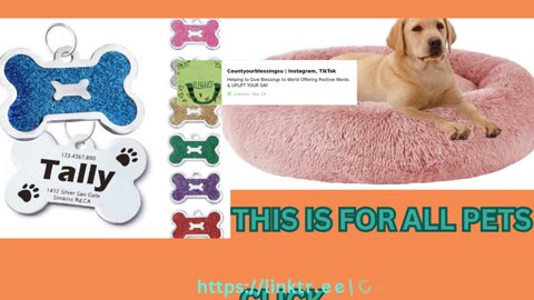 DOG SUPPLIES ONLINE DOG TRAINING