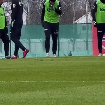 Haaland leaving the national team due injury