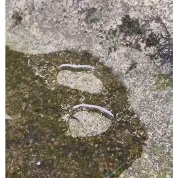 Not aware of your potential unless you Try Yourself | Motivation | Life Lesson