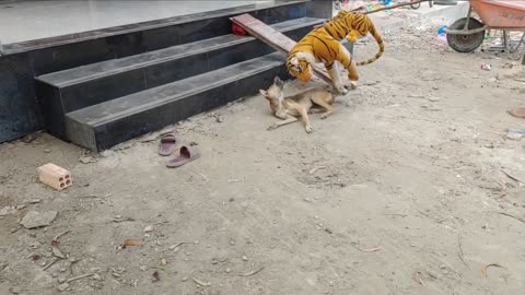Wow Nice Pranks Dog!!! So Funny Try To Stop Laugh Challenge Pranks 2021