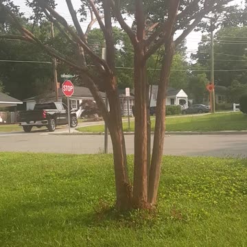 This Dummy's Name Is Mathew Brown Let's Make Him Famous