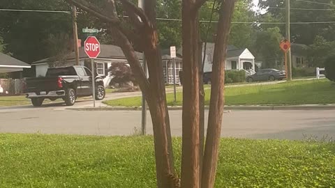 This Dummy's Name Is Mathew Brown Let's Make Him Famous