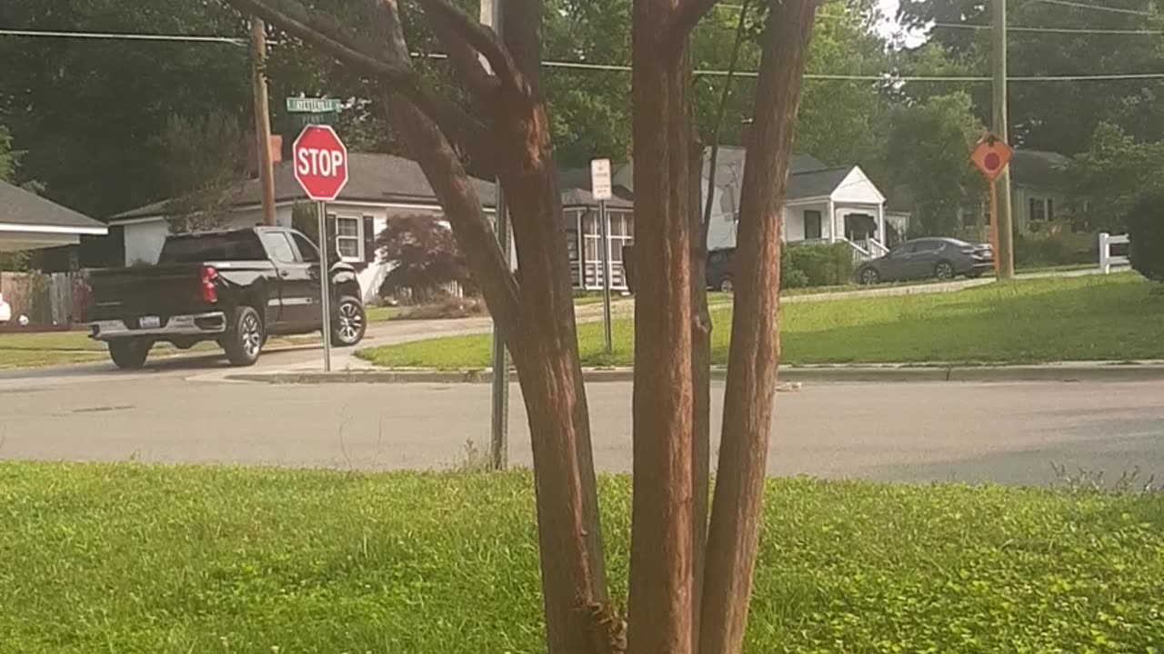 This Dummy's Name Is Mathew Brown Let's Make Him Famous