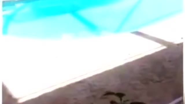 #Funny videos