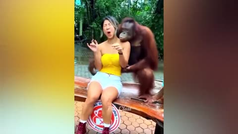 Funny animals - Funny cats _ dogs - Funny animal videos 2023 - Part 6_Haypyy Pett