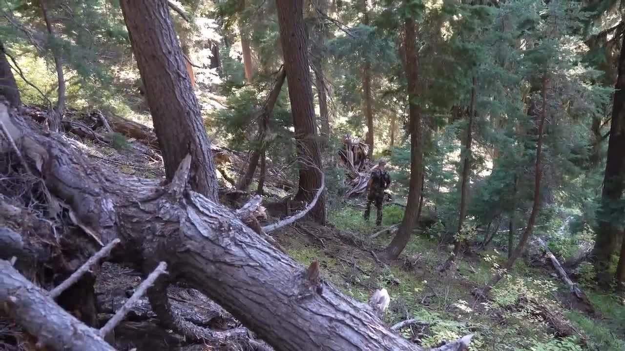 20 === 3 Day Catch and Cook in Mountains with Homemade Bow