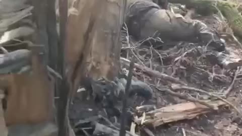 Russians Leave Their Trenches Overnight, Who Left Only The Dead