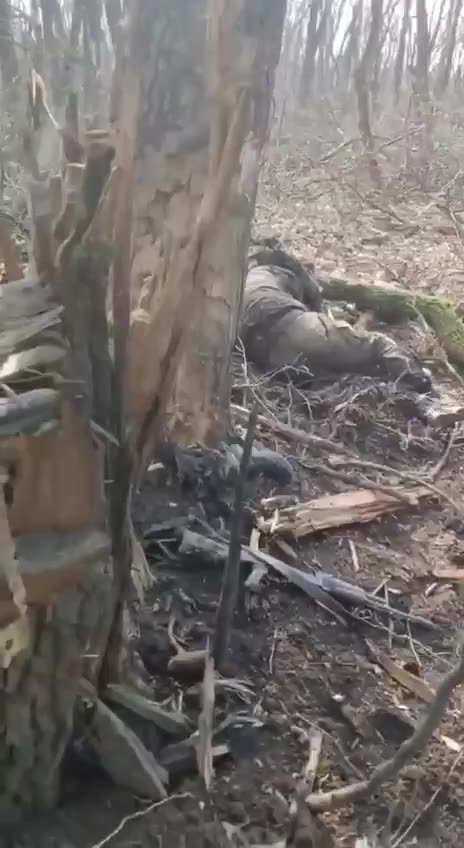 Russians Leave Their Trenches Overnight, Who Left Only The Dead