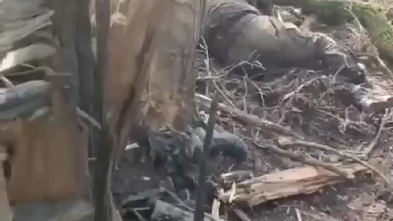 Russians Leave Their Trenches Overnight, Who Left Only The Dead