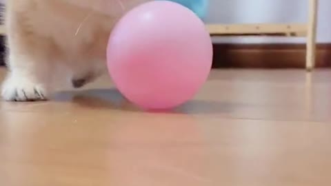 🎈🎈play with balloons