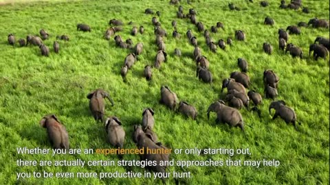 Getting My "Hunting vs Poaching: Know the Difference and Why it Matters" To Work