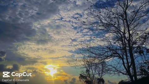 Natural video
