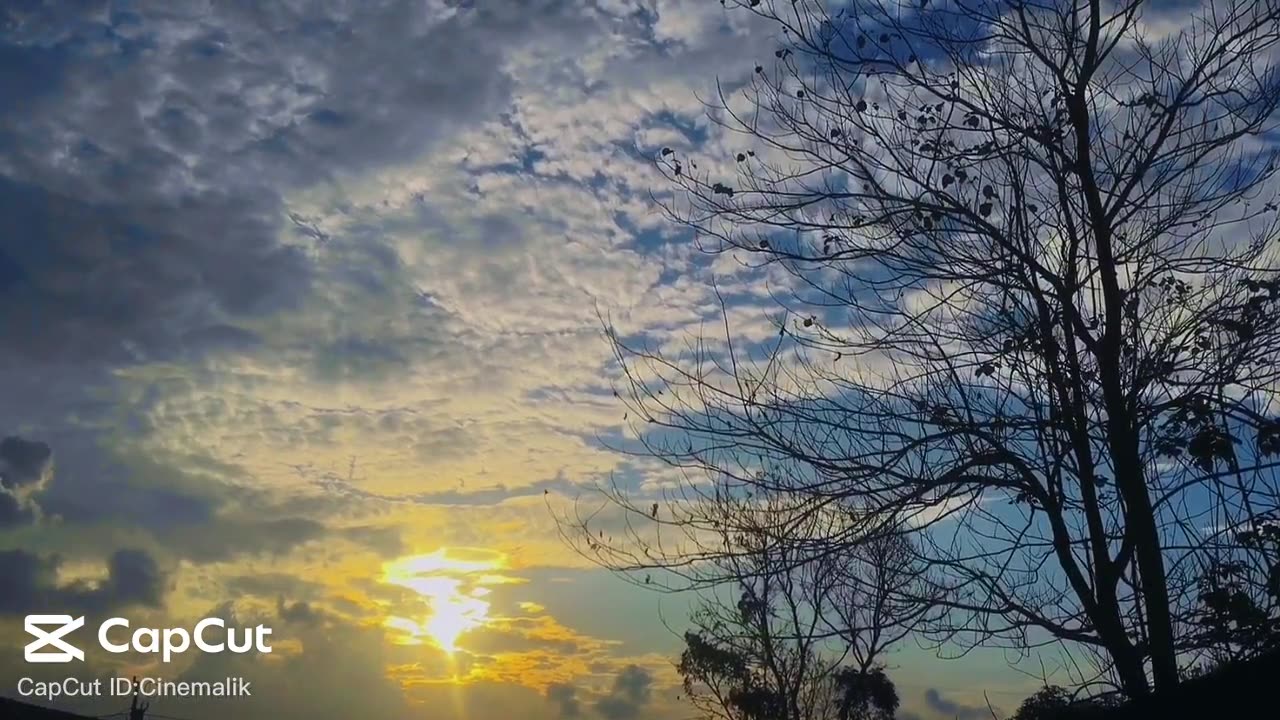Natural video