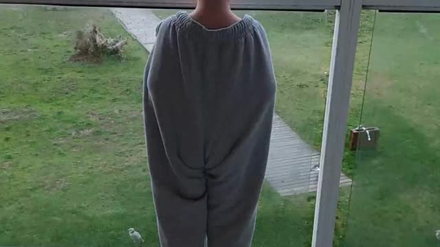 My son calling seagulls in "papa's pants" 😂😂