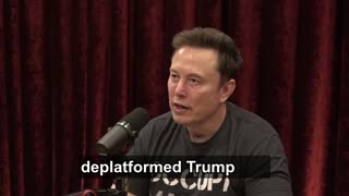 joe rogan thank elon musk