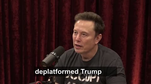 joe rogan thank elon musk