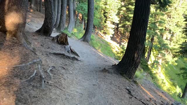 Central Oregon - Three Sisters Wilderness - Looking Down on Curving Creek