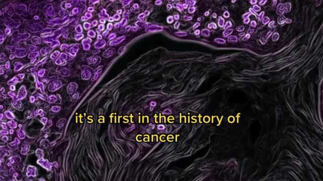 Cancer vanishes for all patients in drug trial