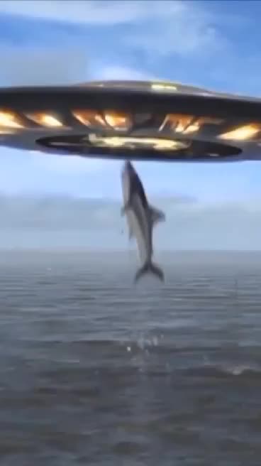 UFO ABDUCING SHARK I THINK THEY LIKE FISH AND 2023