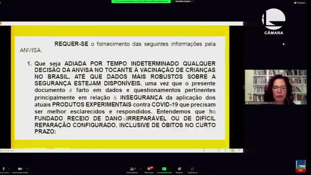 Seminário "Pandemia: um panorama de conjunturas”