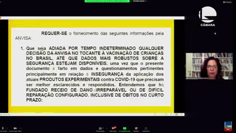 Seminário "Pandemia: um panorama de conjunturas”