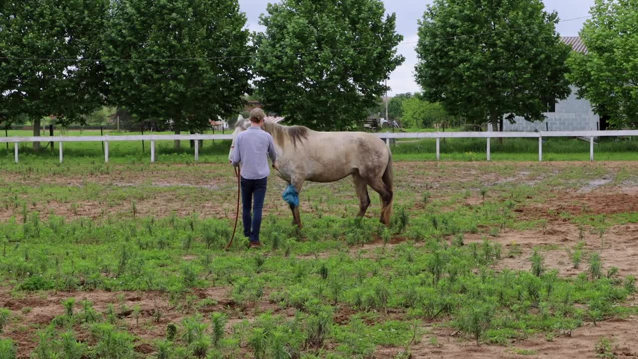 Please Do This With Your Horses! How I Desensitize A Horse To A Plastic Bag (3 Steps)