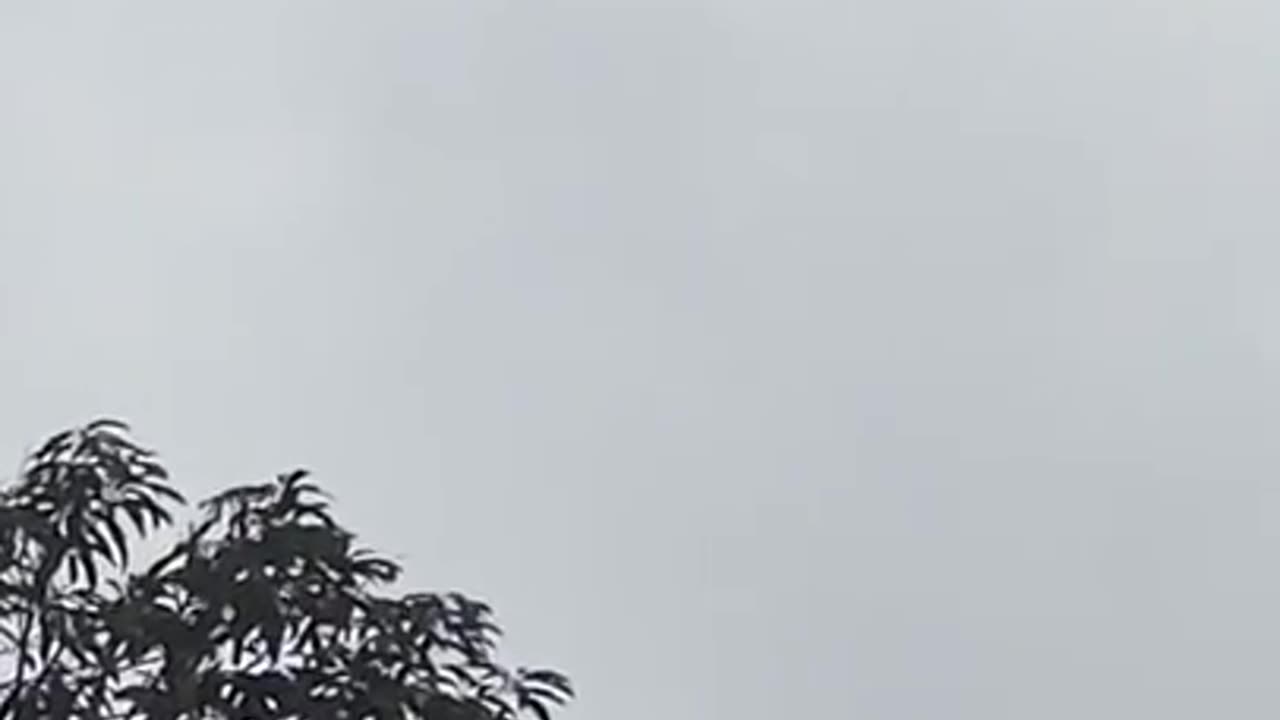 Nature and the sky