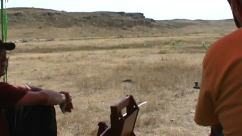 Silhouette Shooting BPCR and rimfire rifles