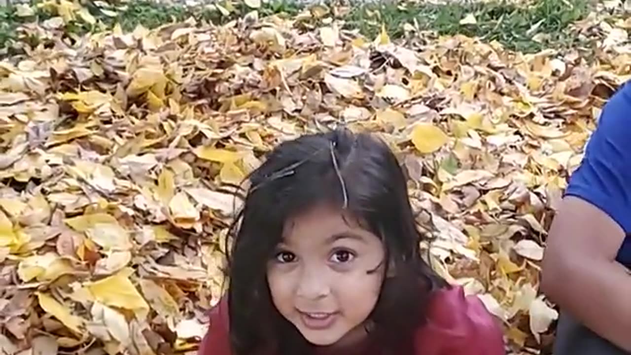 Canadian Autumn Adventures: Kids Playing in a Blanket of Fallen Leaves 🍁🍂