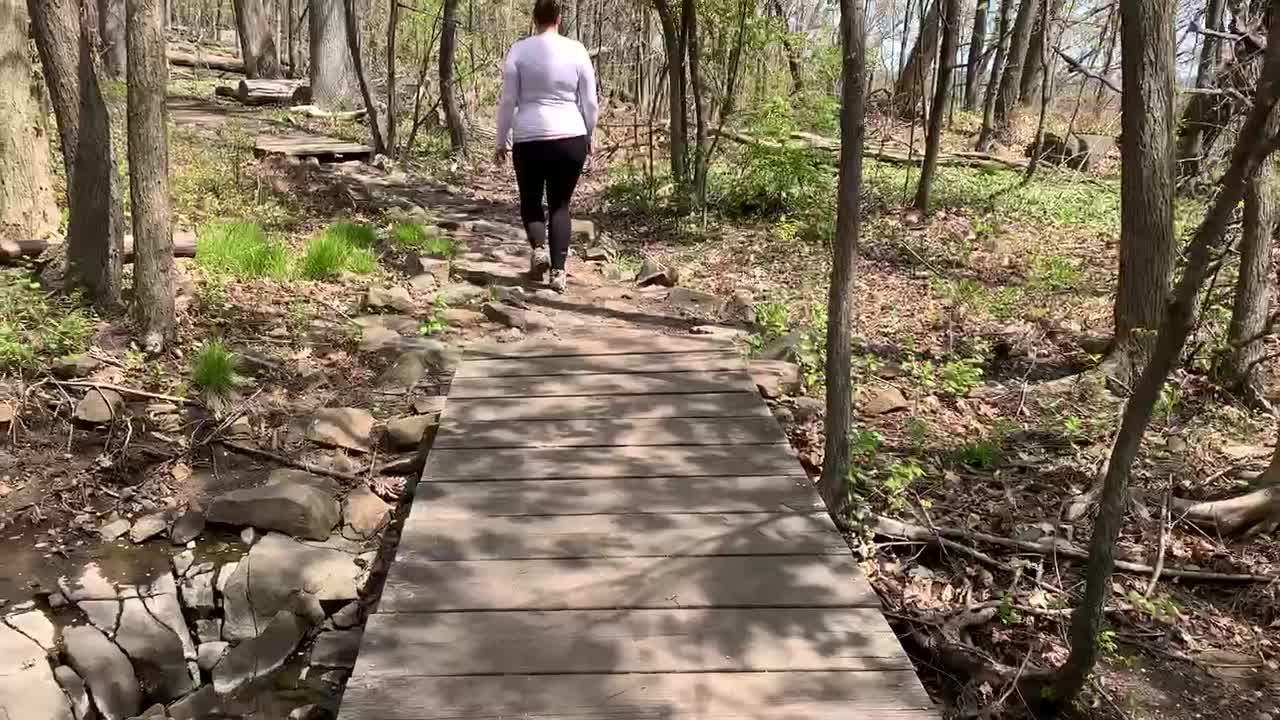 BRIDGE SAVED US FROM DISGUSTING WATER